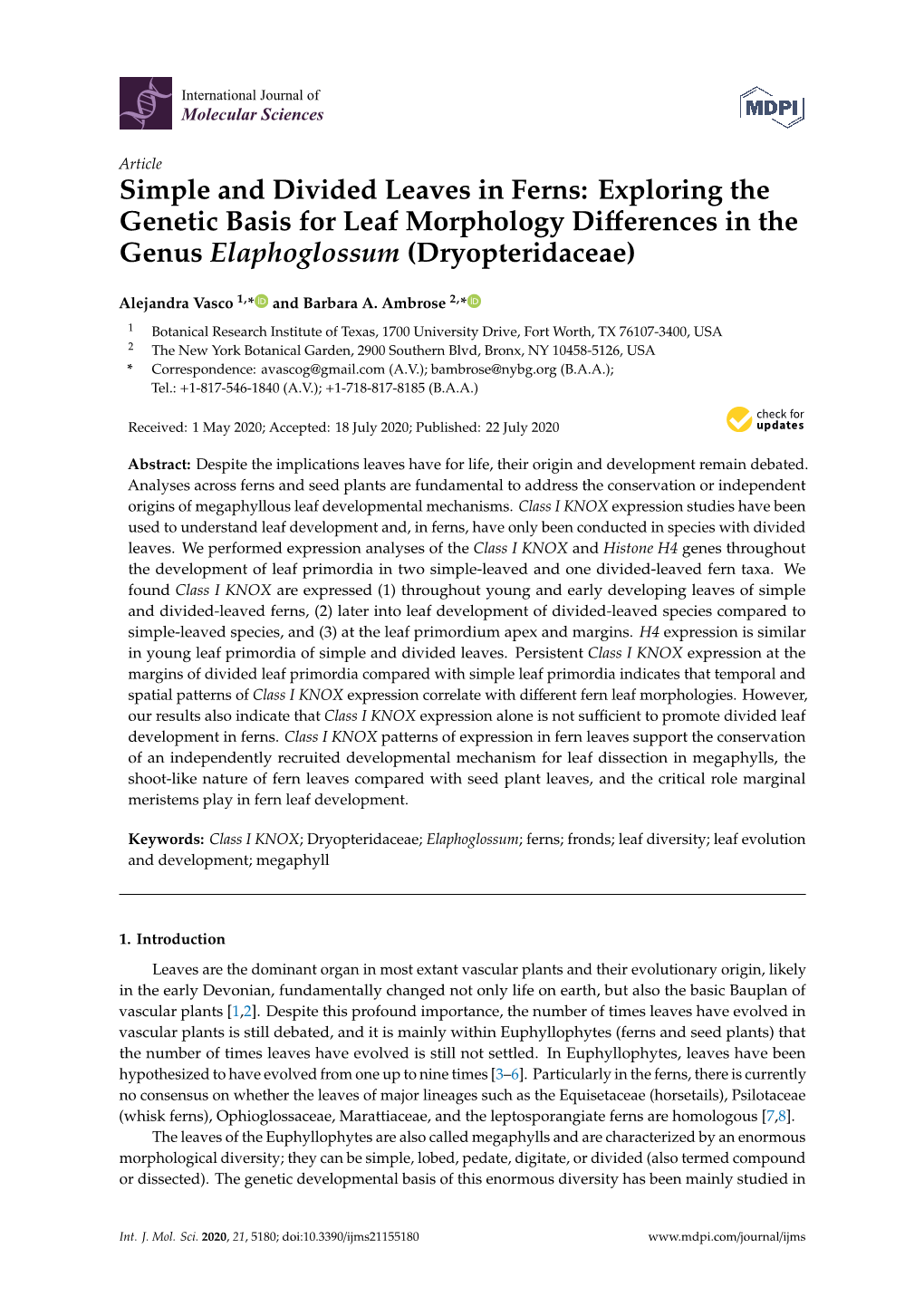 Simple and Divided Leaves in Ferns: Exploring the Genetic Basis for Leaf Morphology Differences in the Genus Elaphoglossum