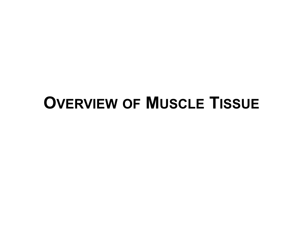 Overview of Muscle Tissue Types of Muscle Tissue