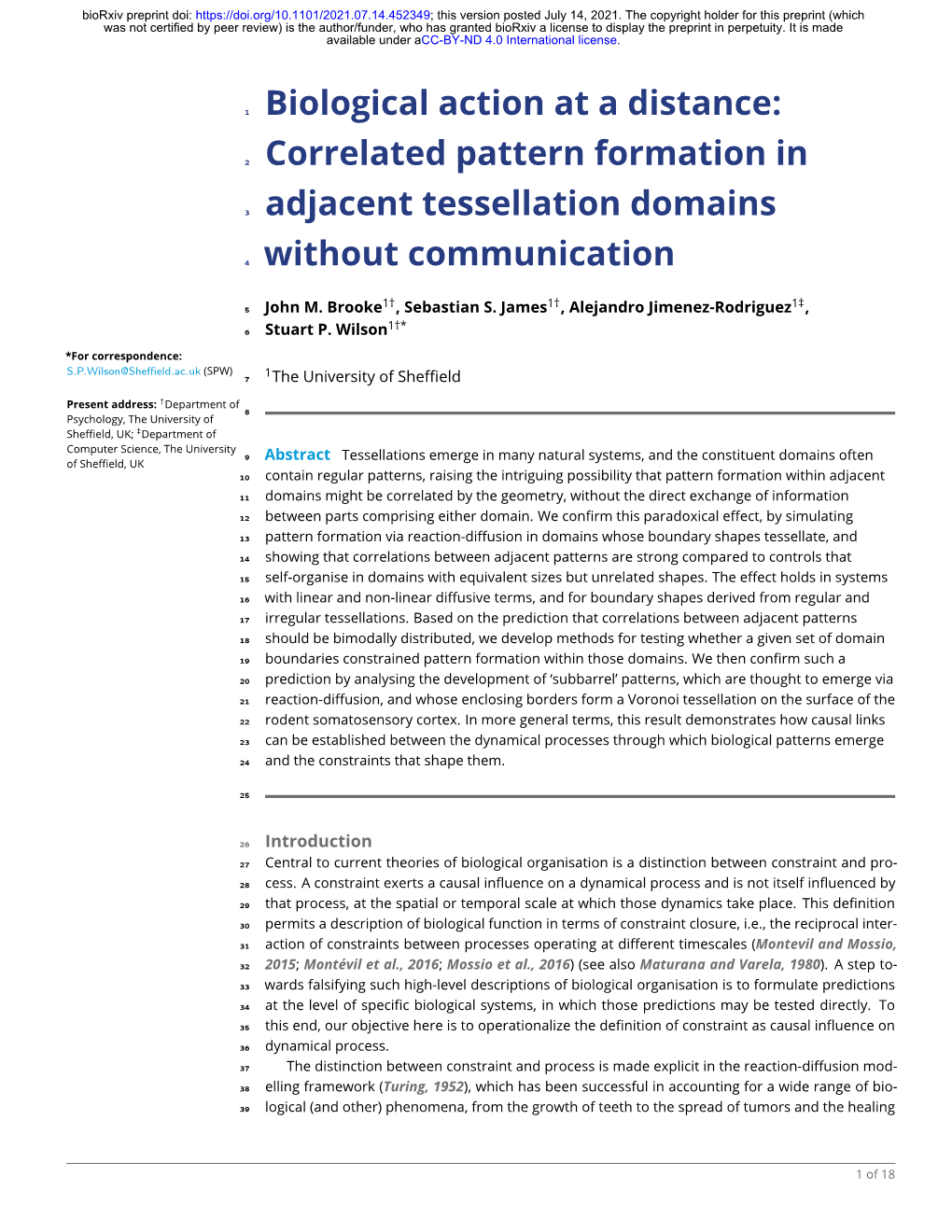 Correlated Pattern Formation in Adjacent Tessellation Domains Without Communication