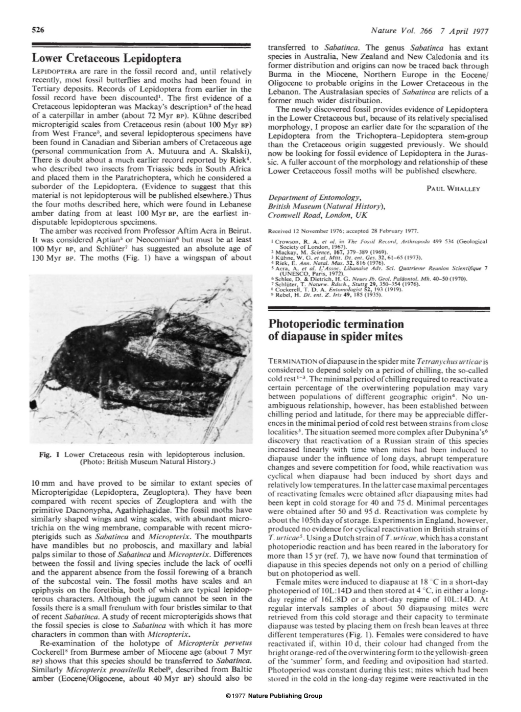 Photoperiodic Termination of Diapause in Spider Mites