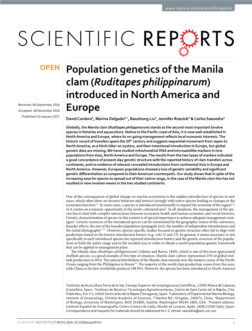 Ruditapes Philippinarum