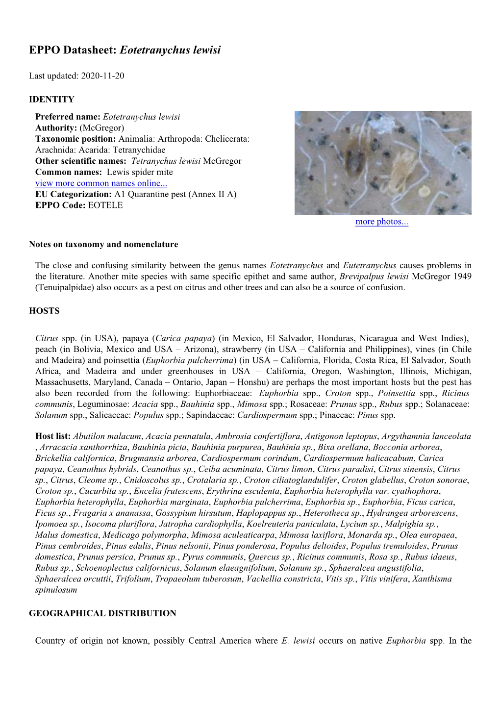 EPPO Datasheet: Eotetranychus Lewisi