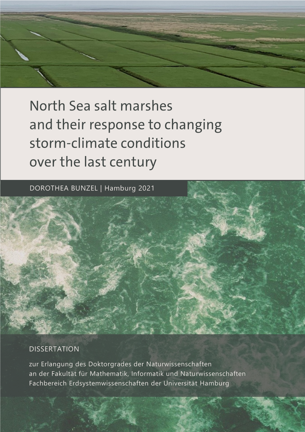 North Sea Salt Marshes and Their Response to Changing Storm-Climate Conditions Over the Last Century