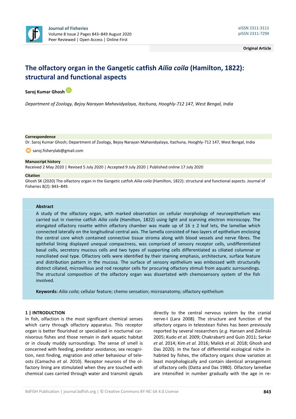 The Olfactory Organ in the Gangetic Catfish Ailia Coila (Hamilton, 1822): Structural and Functional Aspects