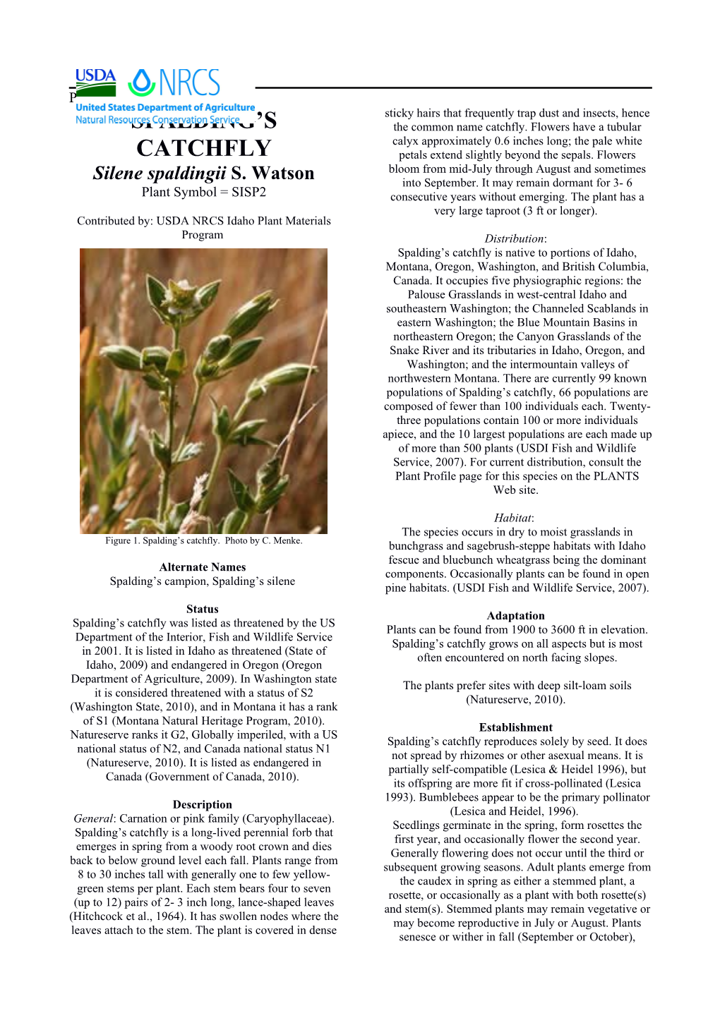Spalding's Catchfly (Silene Spaldingii) Plant Guide