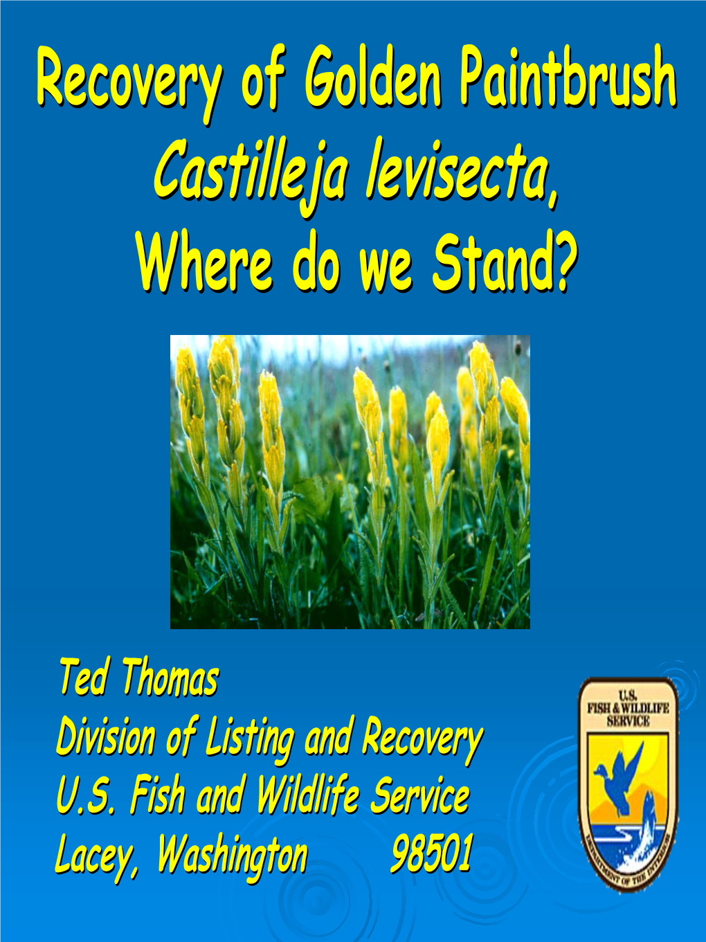 Recovery of Golden Paintbrush Castilleja Levisecta, Where Do We