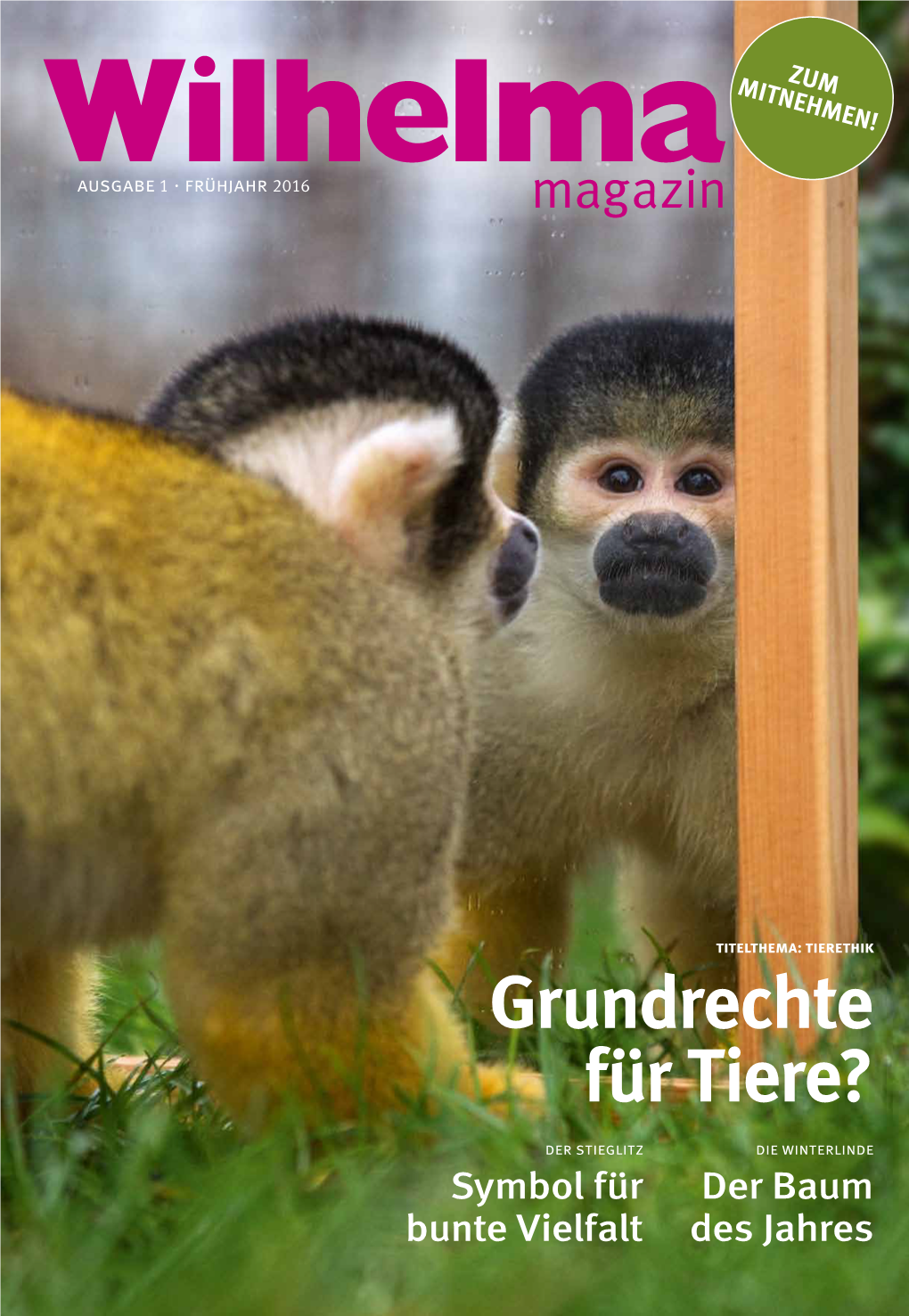 Grundrechte Für Tiere?