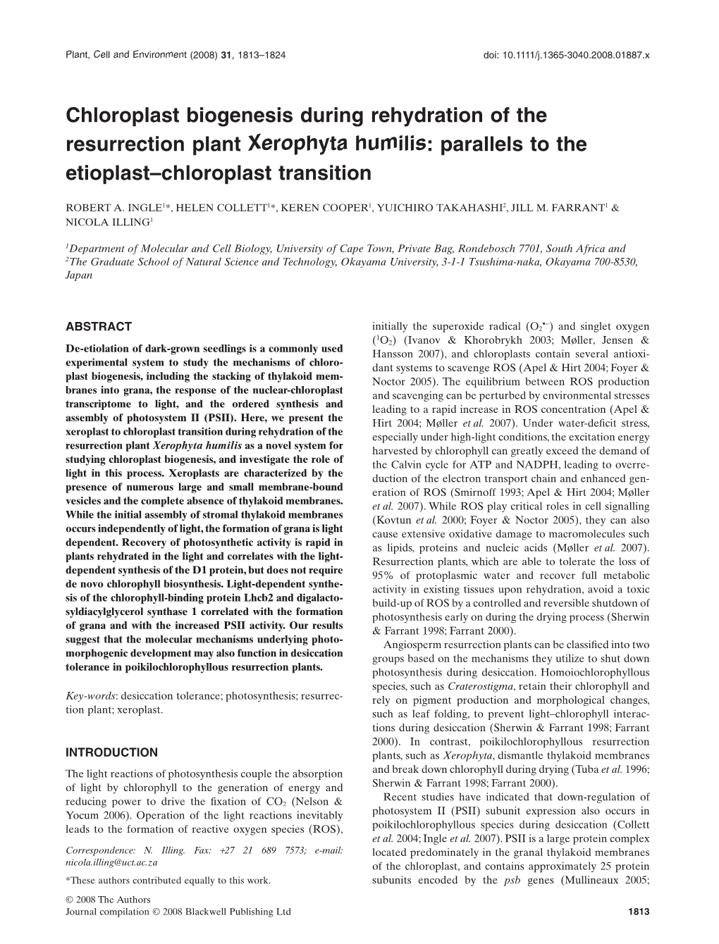 Chloroplast Biogenesis During Rehydration of the Resurrection Plant Xerophyta Humilis: Parallels to the Etioplast–Chloroplast Transition