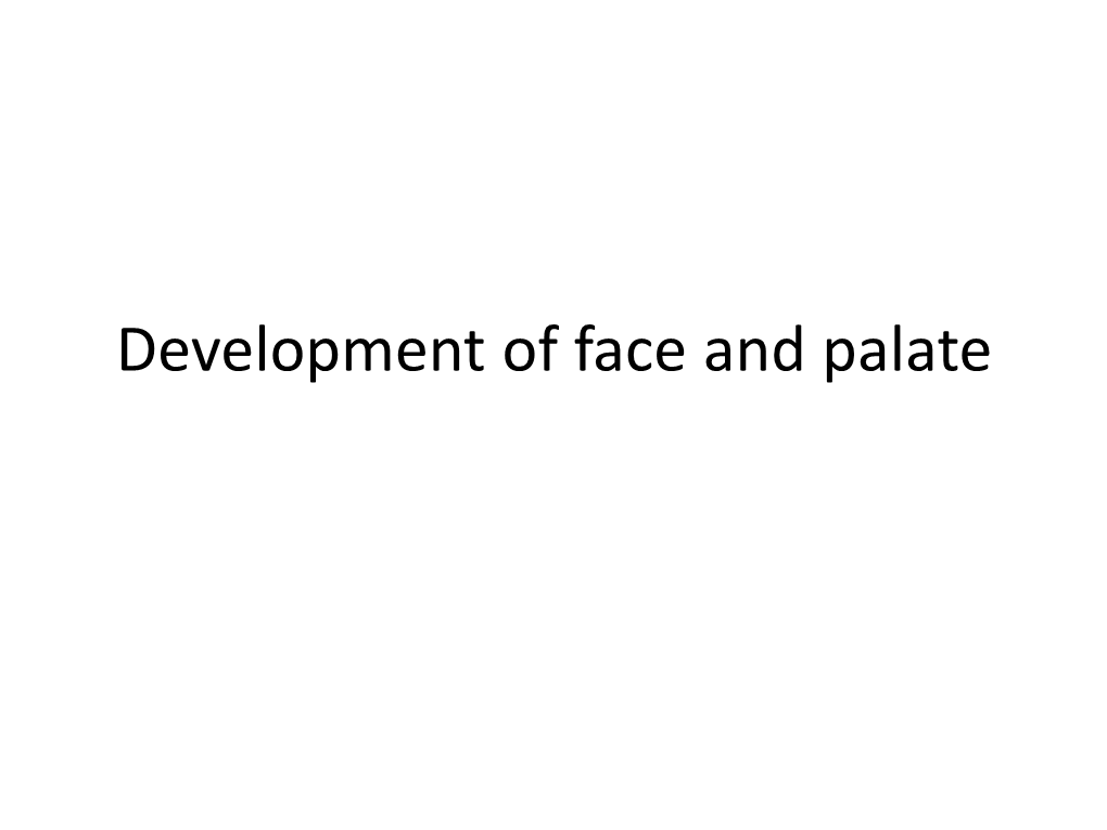 Development of Face and Palate • After Formation of Head Fold , Developing Brain & Pericardium It Forms Two Prominent Bulgings on Ventral Aspect Embryo