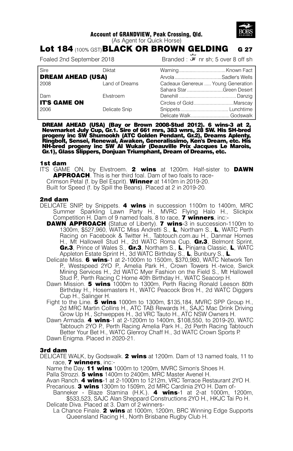 Lot 184 (100% GST)BLACK OR BROWN GELDING G 27 Foaled 2Nd September 2018 Branded : Nr Sh; 5 Over 8 Off Sh