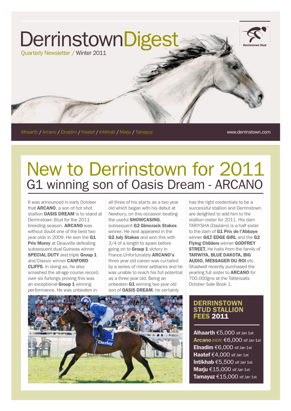 Derrinstowndigest Derrinstown Stud Quarterly Newsletter / Winter 2011