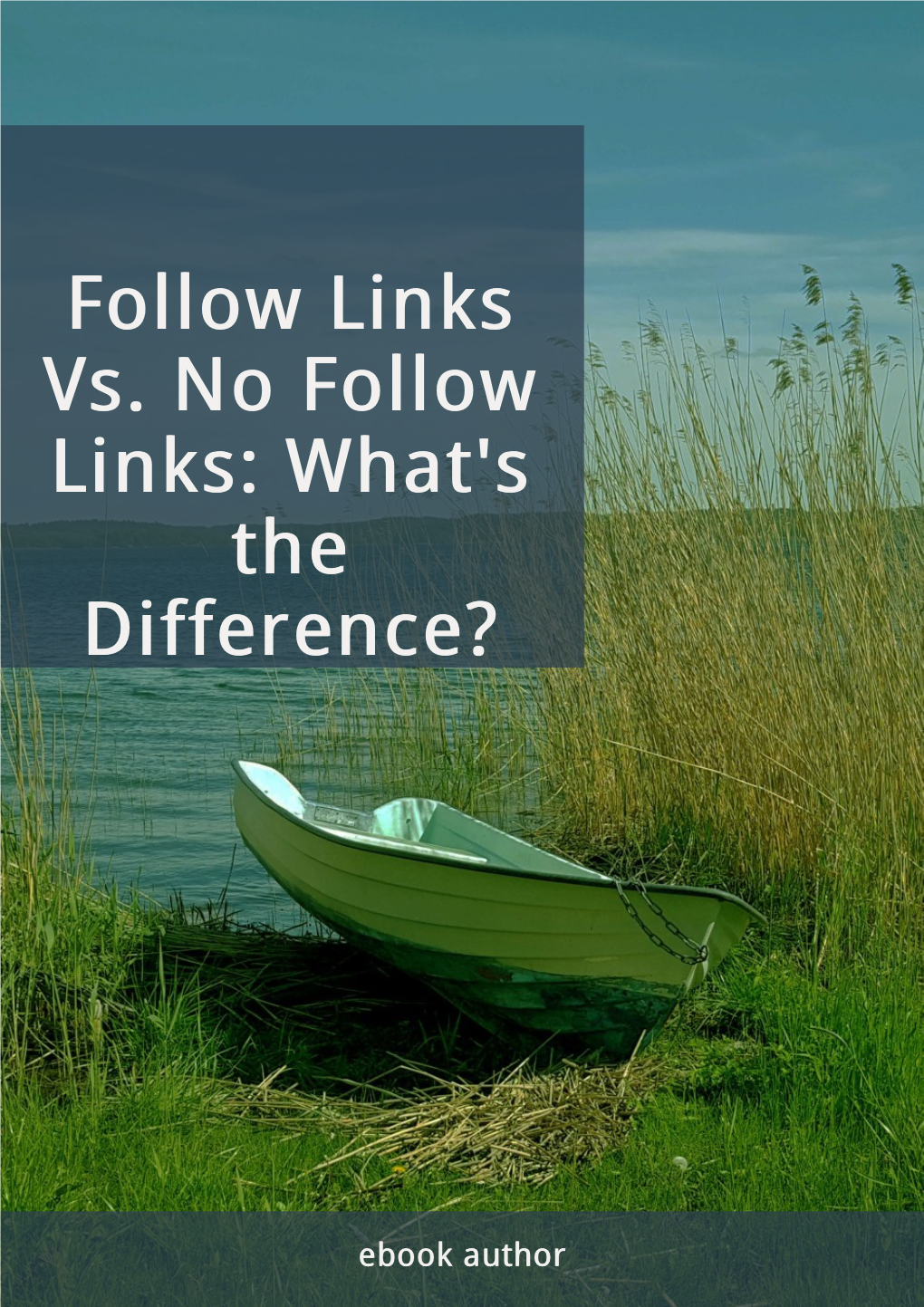 Follow Links Vs. No Follow Links: What's the Difference?