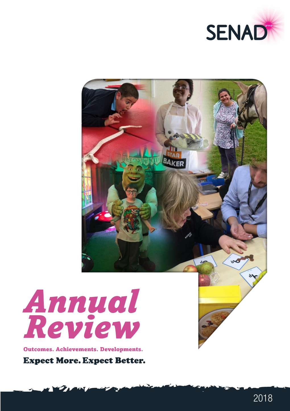 Annual Review Outcomes