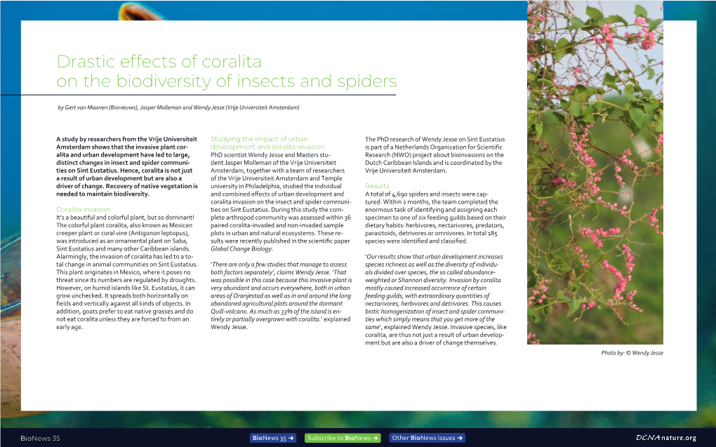 Drastic Effects of Coralita on the Biodiversity of Insects and Spiders