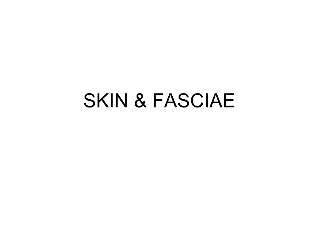 Skin & Fasciae