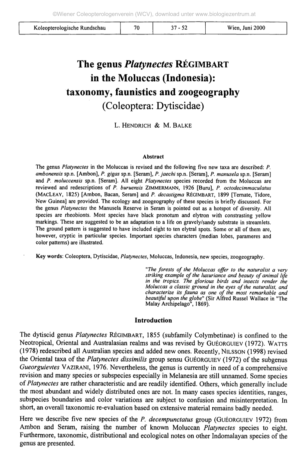 The Genus Platynectes RÉGIMBART in the Moluccas (Indonesia): Taxonomy, Faunistics and Zoogeography (Coleoptera: Dytiscidae)