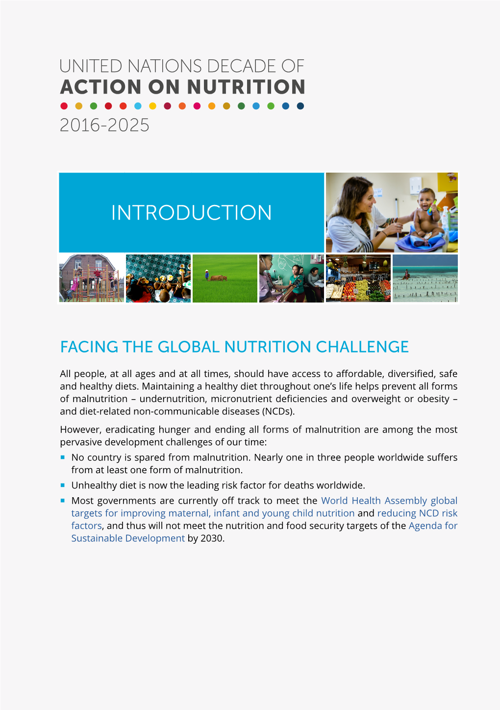 Nutrition-Decade-Introduction-Flyer.Pdf