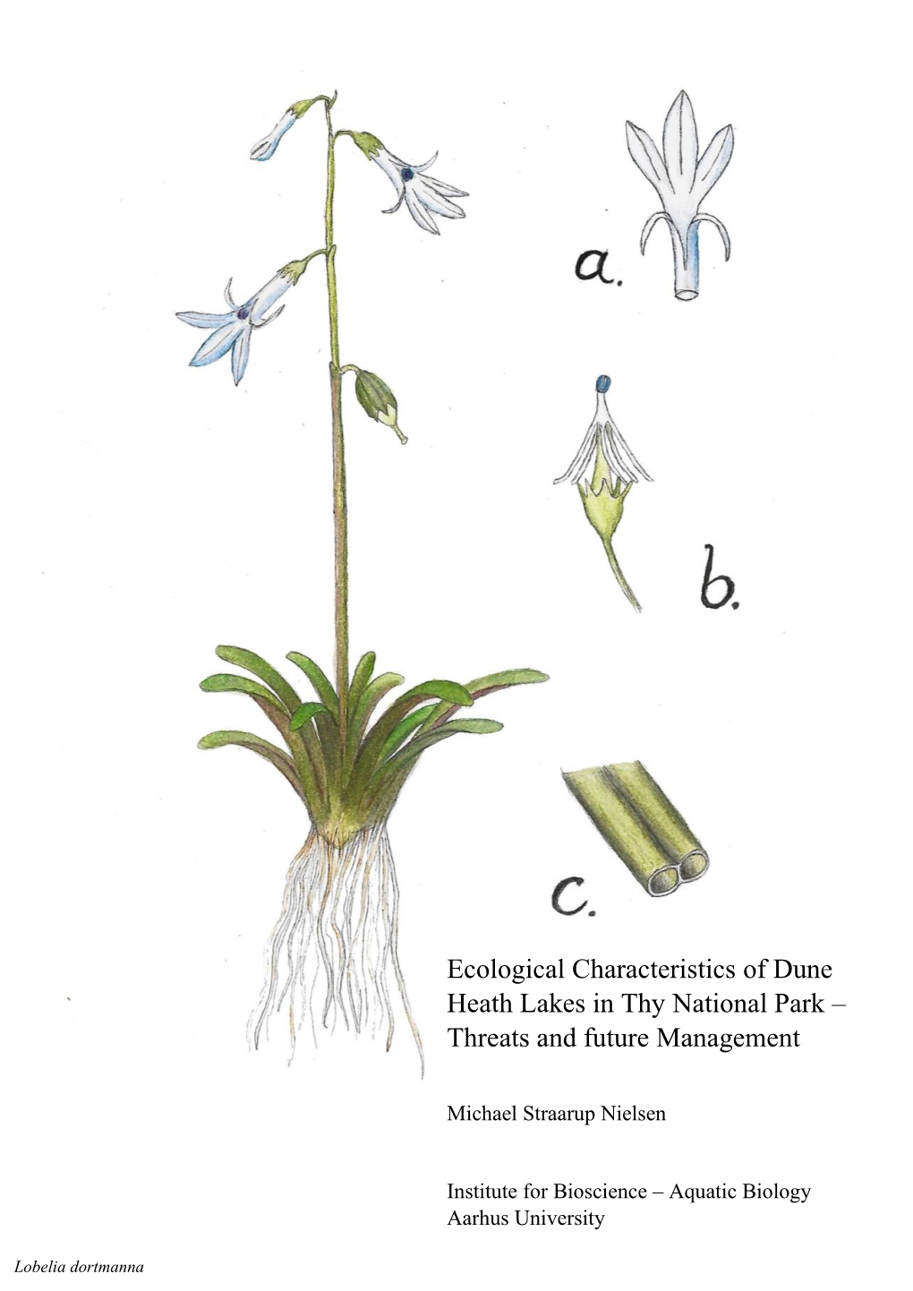 Ecological Characteristics of Dune Heath Lakes in Thy National Park – Threats and Future Management