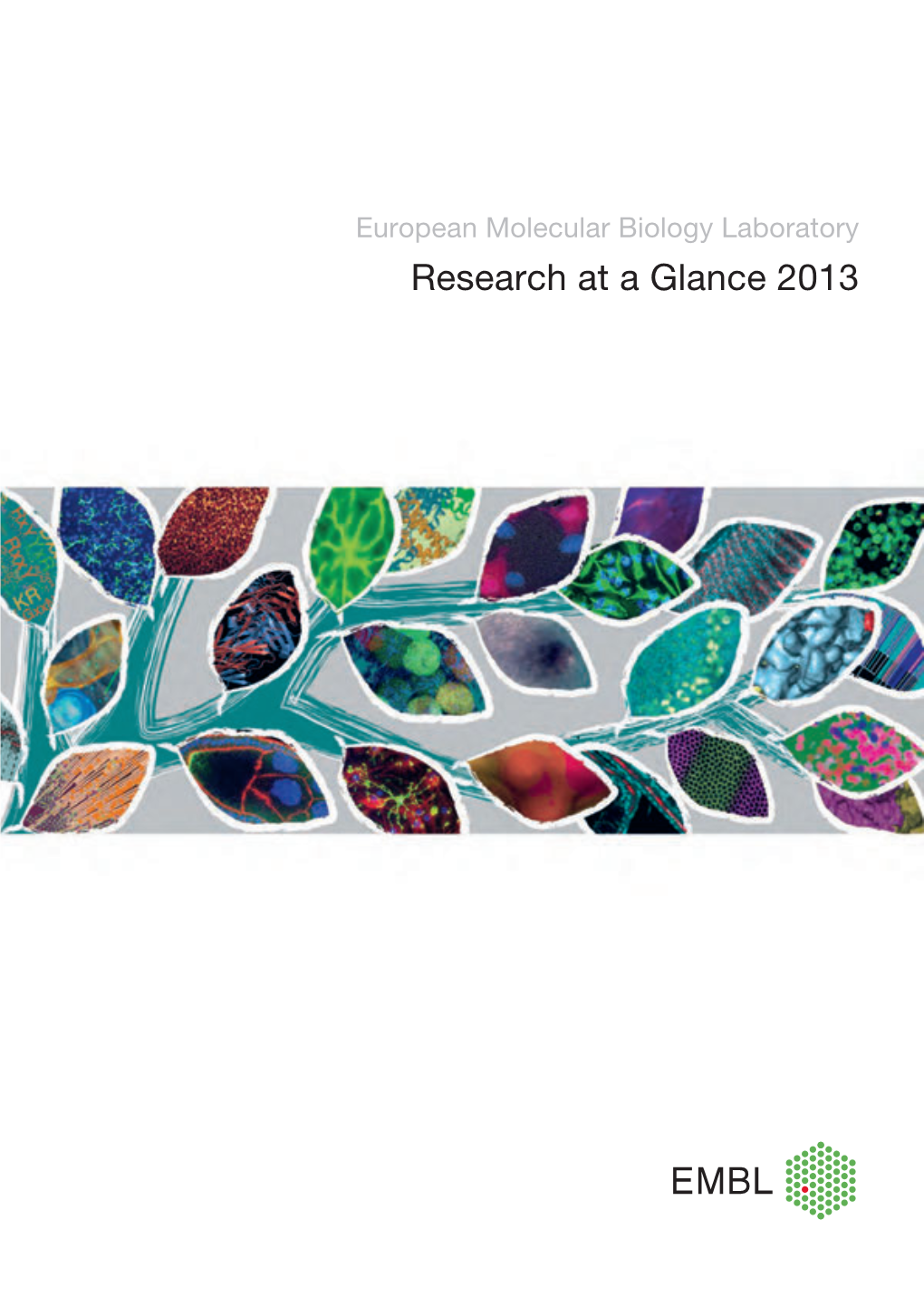 Research at a Glance 2013