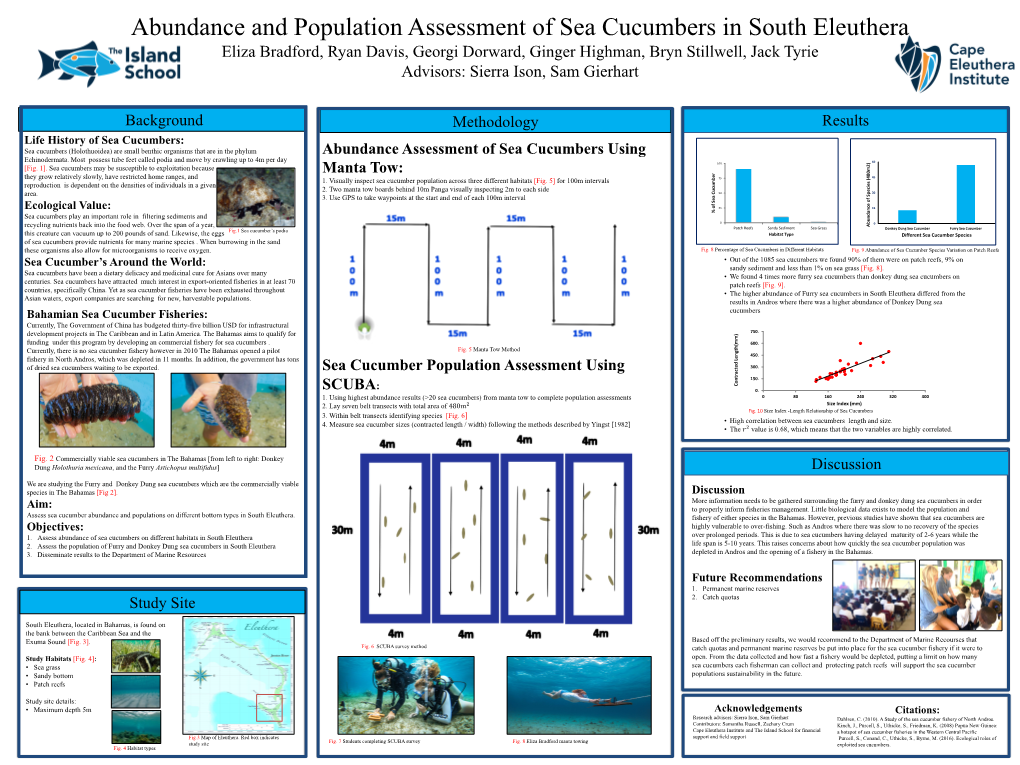 Abundance and Population Assessment of Sea Cucumbers In