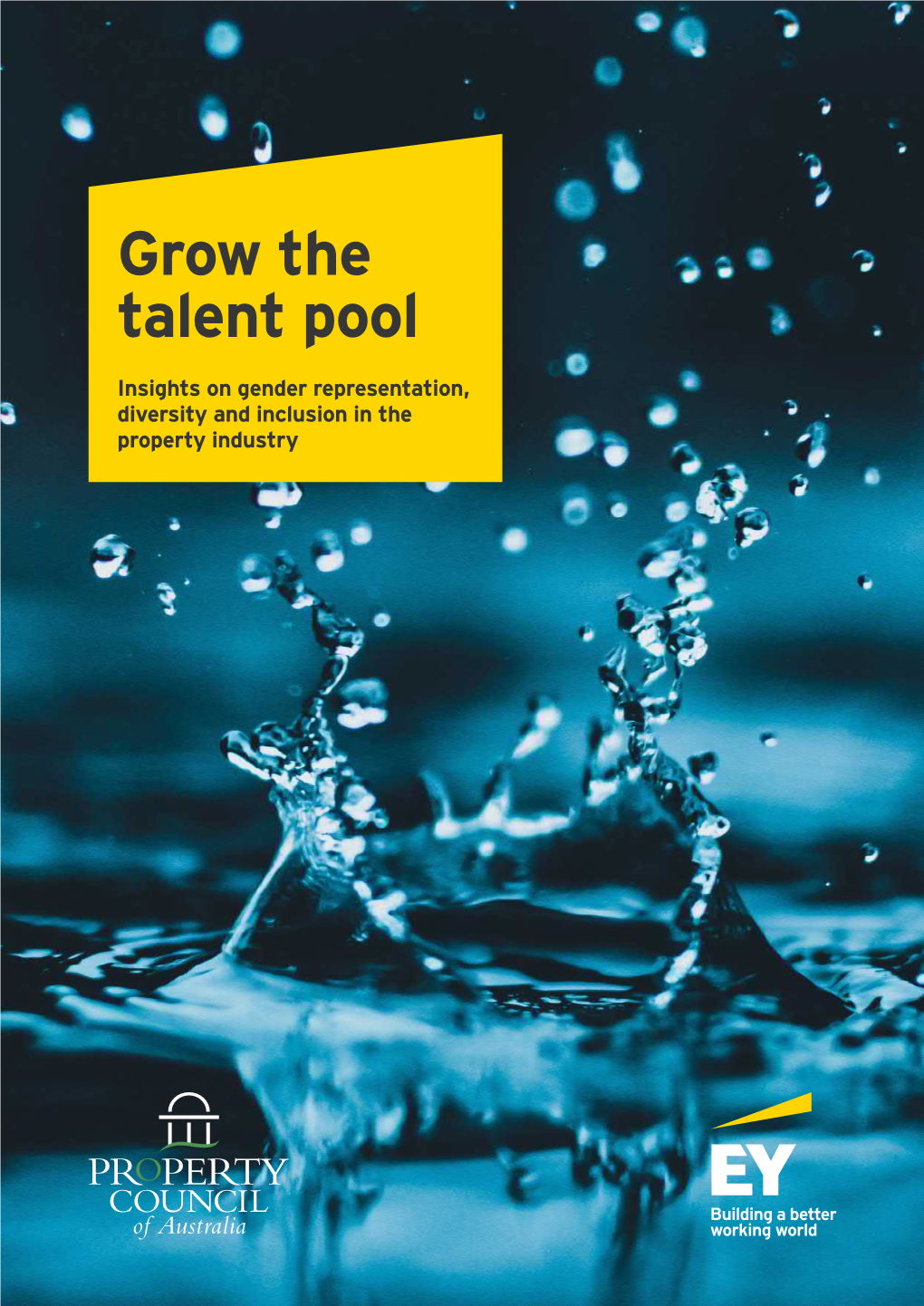 Grow the Talent Pool