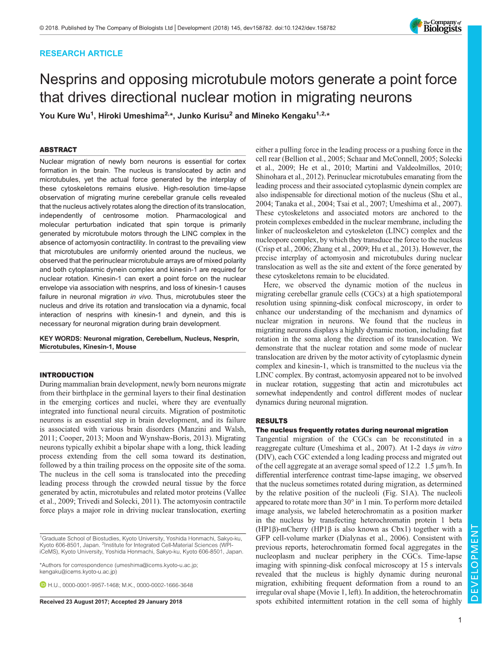 Nesprins and Opposing Microtubule Motors Generate a Point Force That