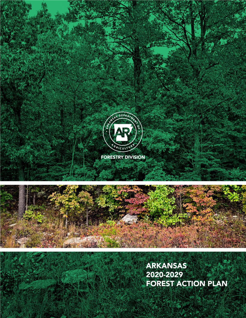 Arkansas 2020-2029 Forest Action Plan Will: • Discuss Critical Issues and Present Strategic Themes with Specific Objectives and Actions for Addressing Them