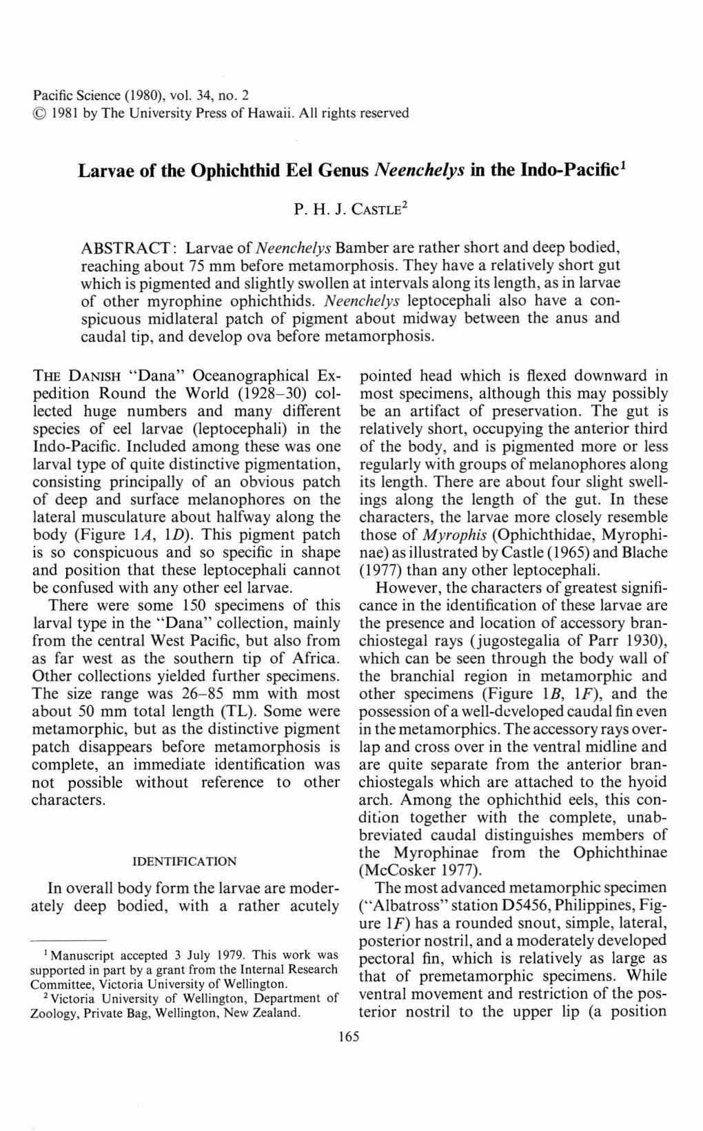 Larvae of the Ophichthid Eel Genus Neenchelys in the Indo-Pacific1