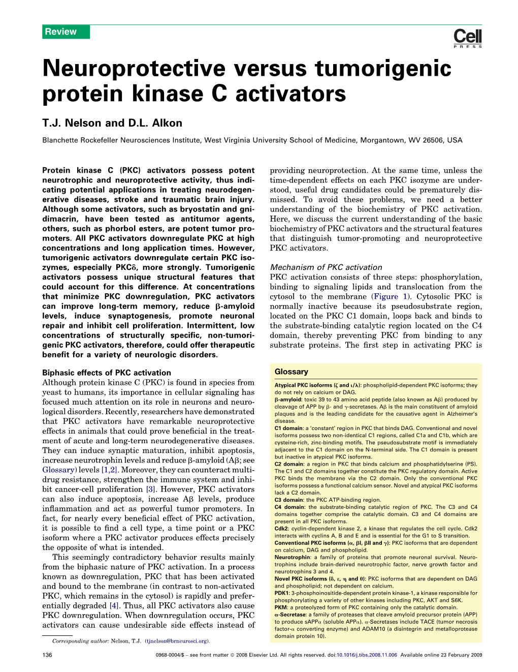 Neuroprotective Versus Tumorigenic Protein Kinase C Activators