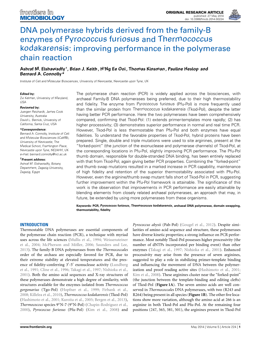 DNA Polymerase Hybrids Derived from the Family-B Enzymes of Pyrococcus Furiosus and Thermococcus Kodakarensis: Improving Performance in the Polymerase Chain Reaction