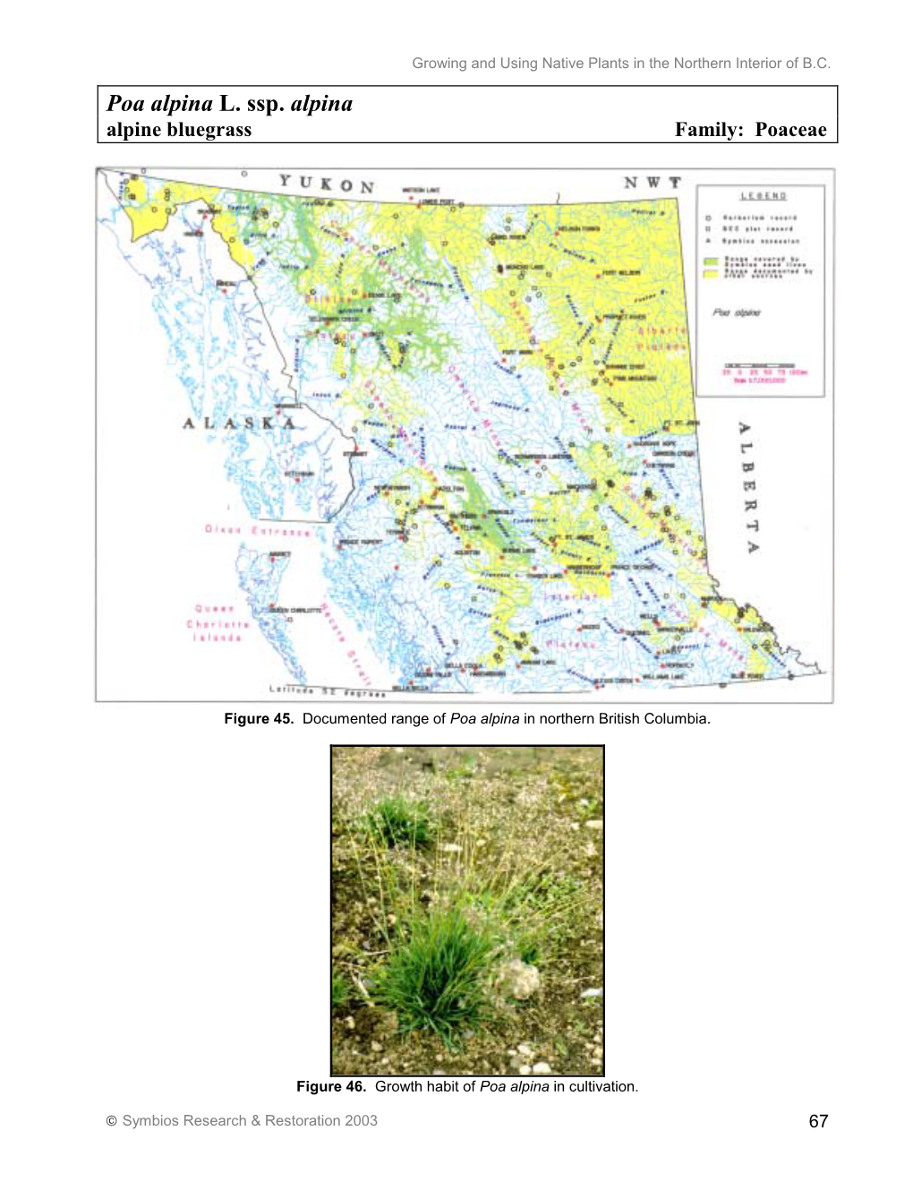 A Manual for Growing and Using Seed from Herbaceous Plants Native to the Northern Interior of British Columbia