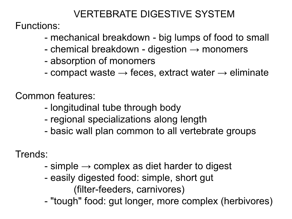 VERTEBRATE DIGESTIVE SYSTEM Functions