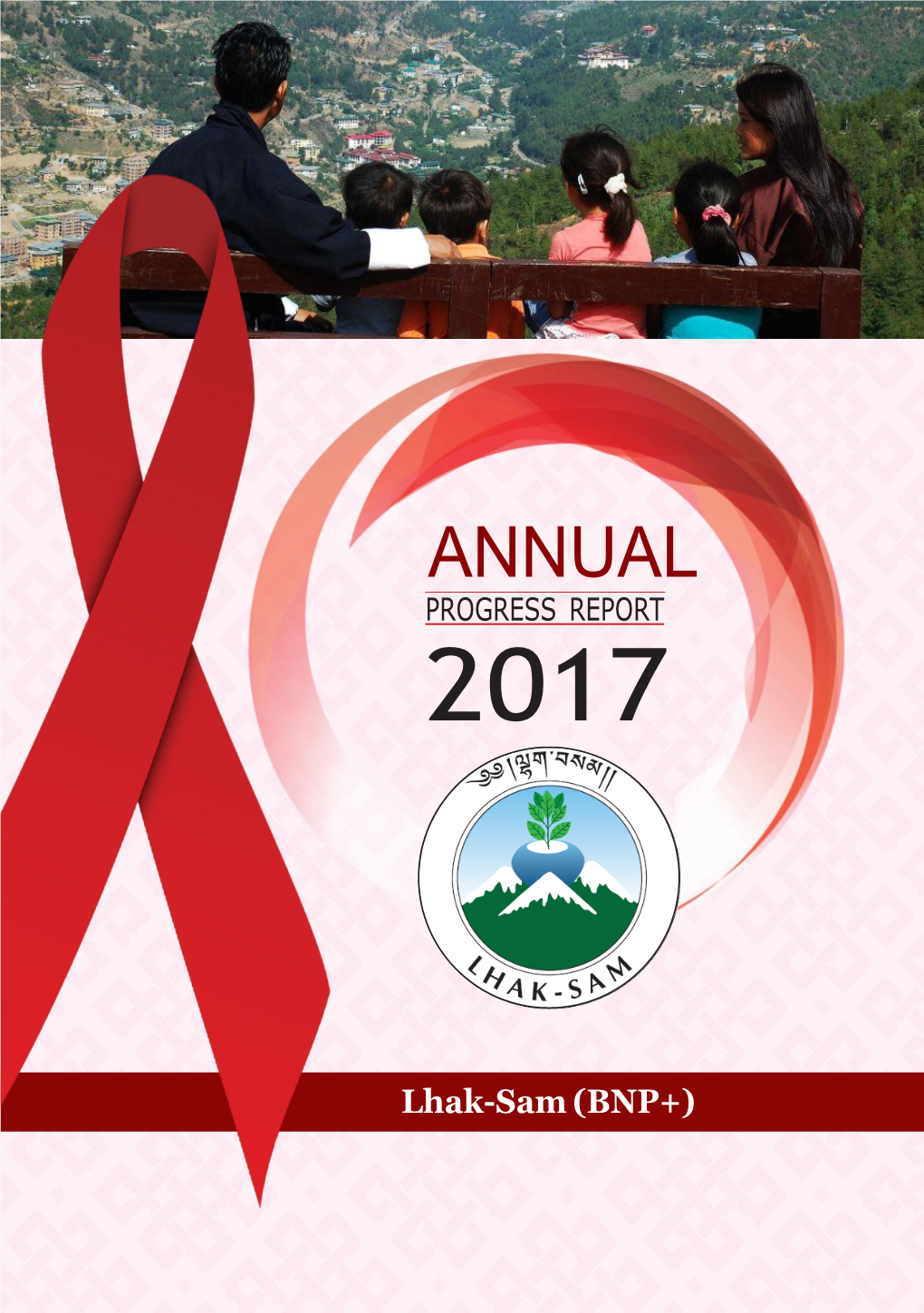 Annual Report 2017