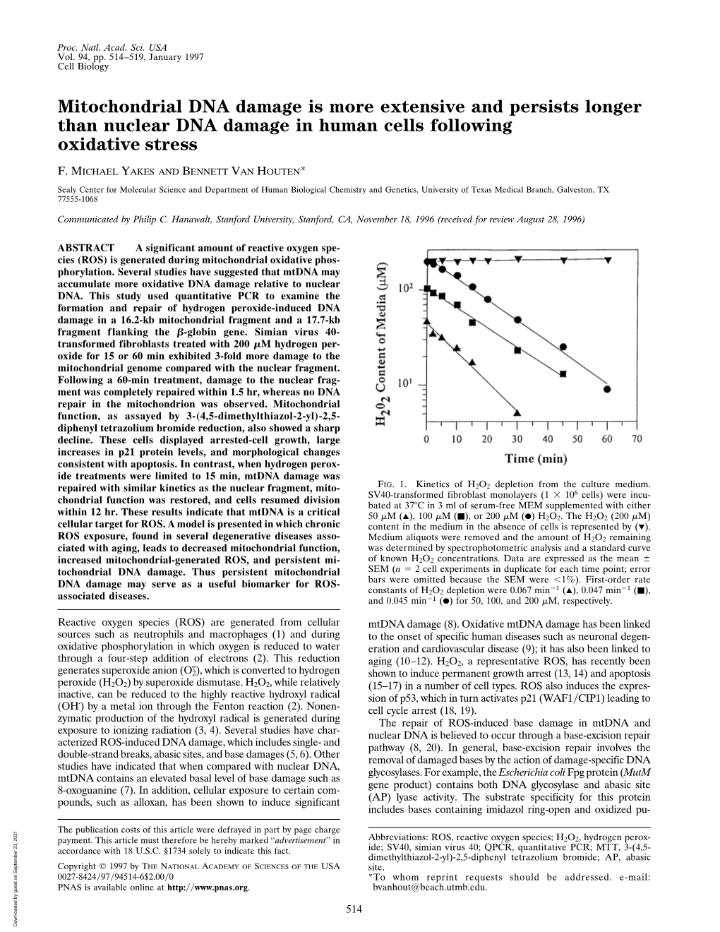 Mitochondrial DNA Damage Is More Extensive and Persists Longer Than Nuclear DNA Damage in Human Cells Following Oxidative Stress