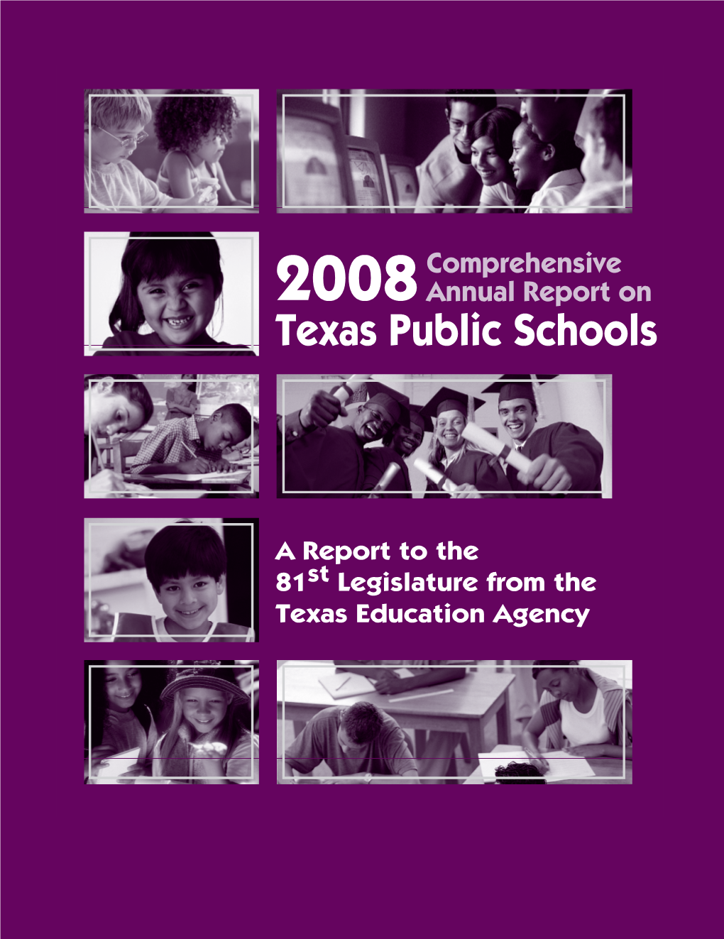 2008 Comprehensive Annual Report on Texas Public Schools Describes the Status of Texas Public Education, As Required by §39.182 of the Texas Education Code