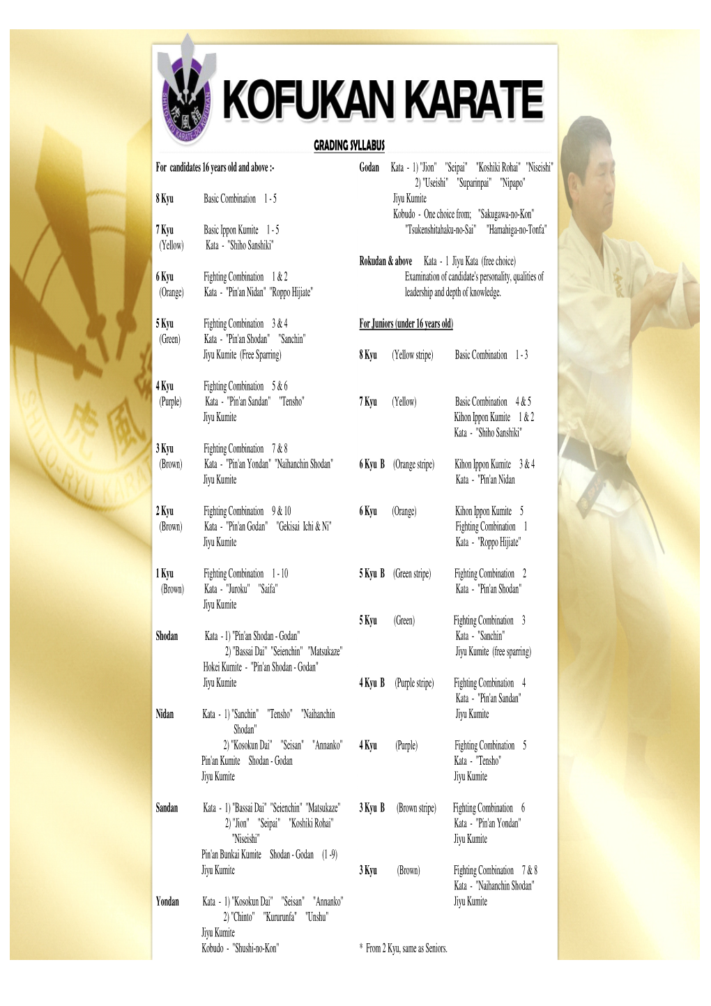 Kofukan International Grading Syllabus