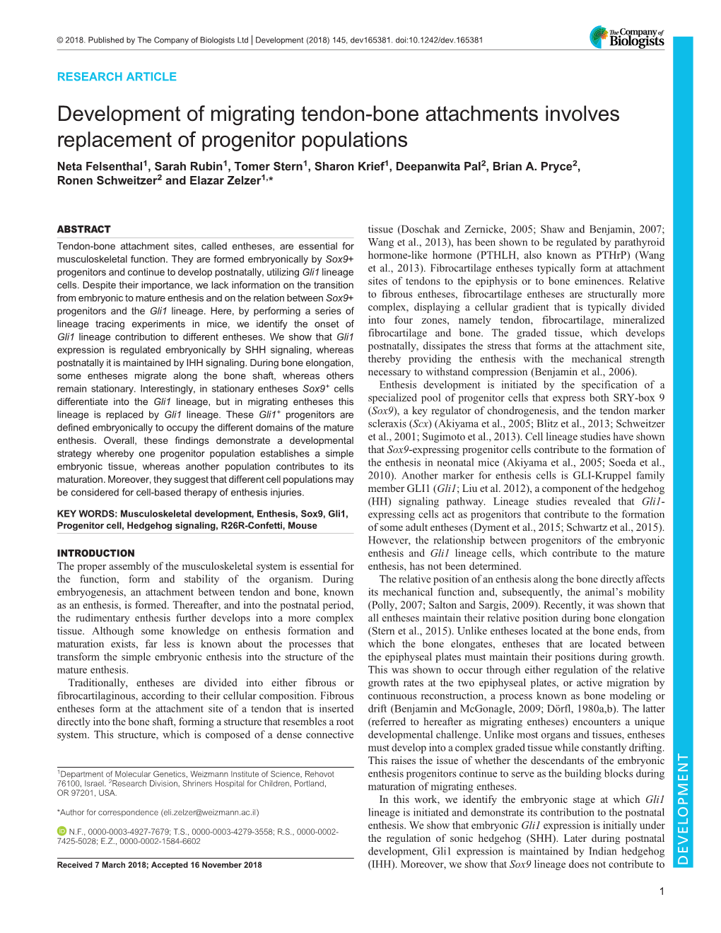 Development of Migrating Tendon-Bone Attachments Involves