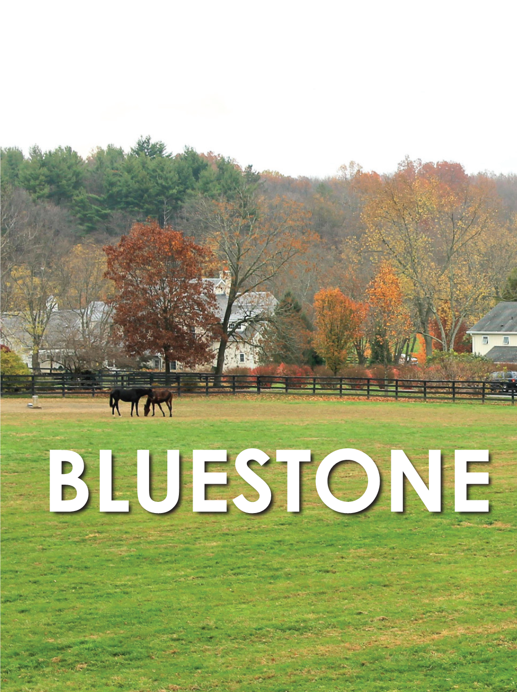 Bluestone-TROT-Dec-2015.Pdf