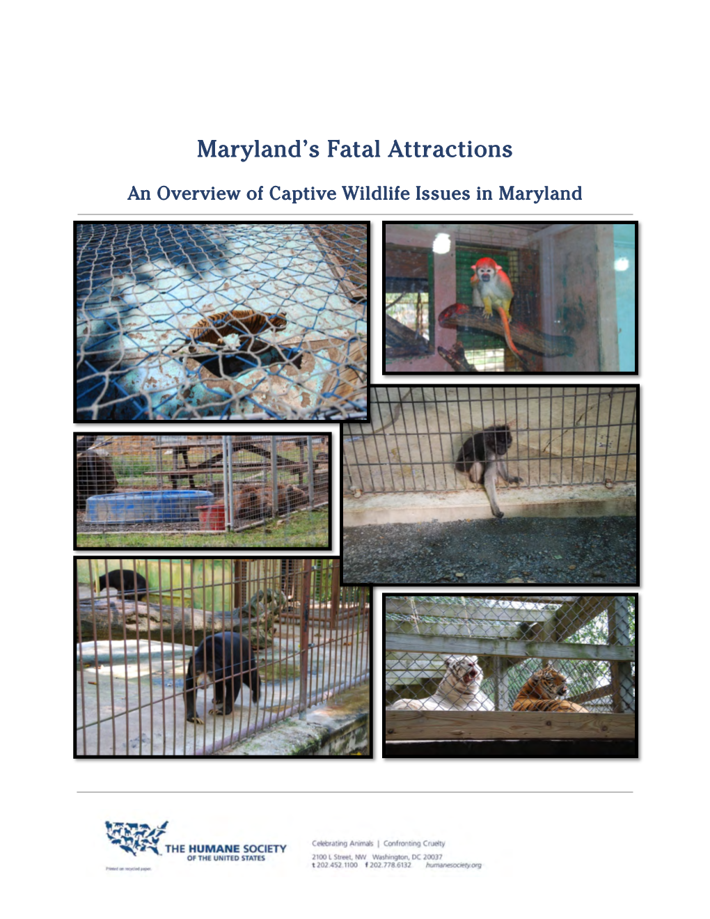 Maryland's Fatal Attractions