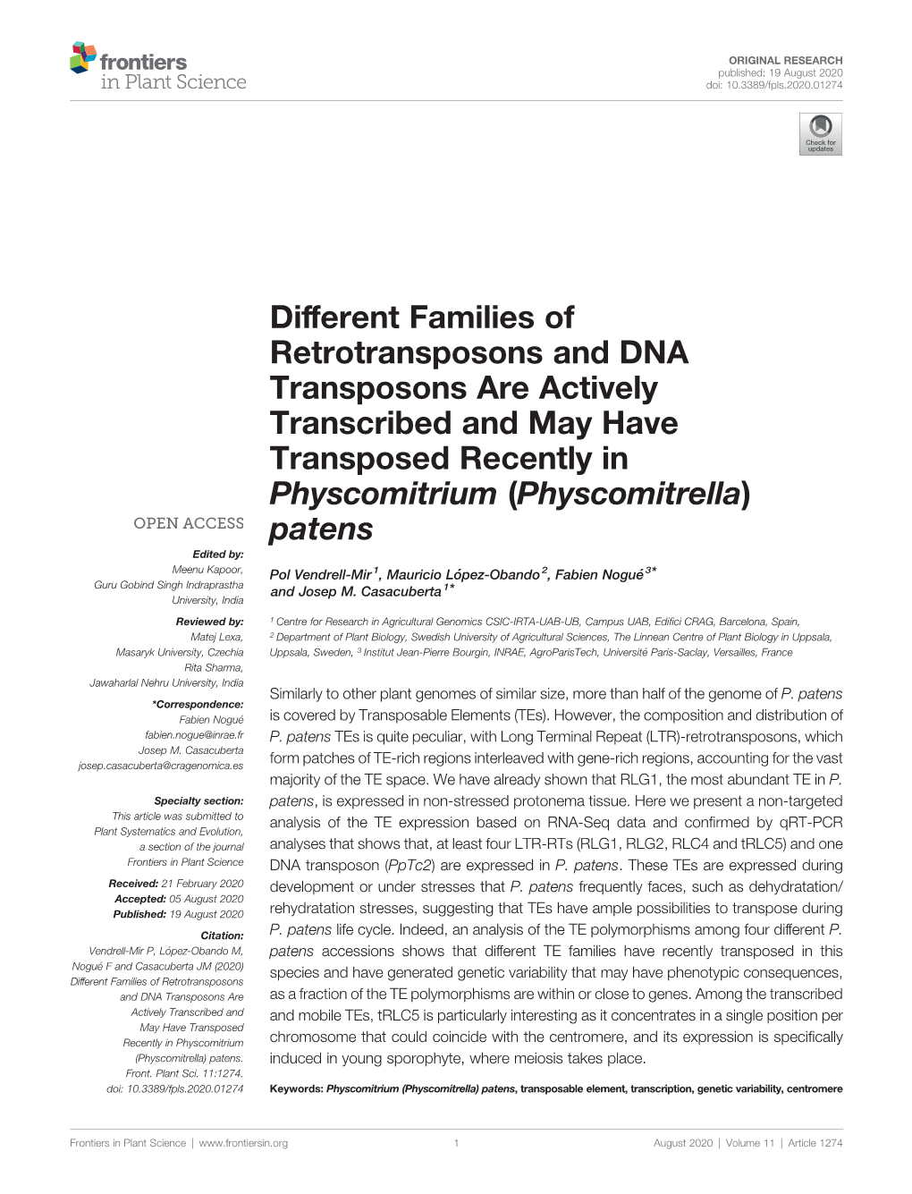 Different Families of Retrotransposons and DNA Transposons Are Actively