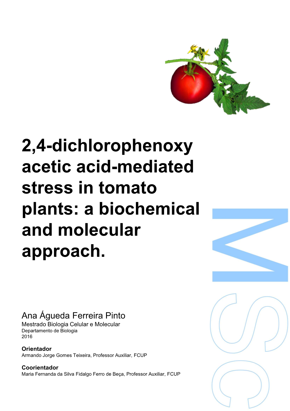2,4-Dichlorophenoxy Acetic Acid-Mediated Stress in Tomato Plants: a Biochemical and Molecular Approach