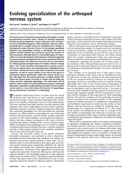 Evolving Specialization of the Arthropod Nervous System