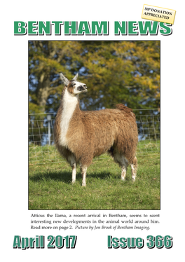 Atticus the Llama, a Recent Arrival in Bentham, Seems to Scent Interesting New Developments in the Animal World Around Him