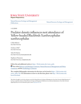 Predator Density Influences Nest Attendance of Yellow‐Headed Blackbirds Xanthocephalus Xanthocephalus Colby Behrens Iowa State University