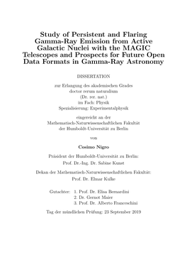 Dissertation Nigro Cosimo.Pdf