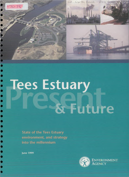 State of the Tees Estuary Environment, and Strategy Into the Millennium
