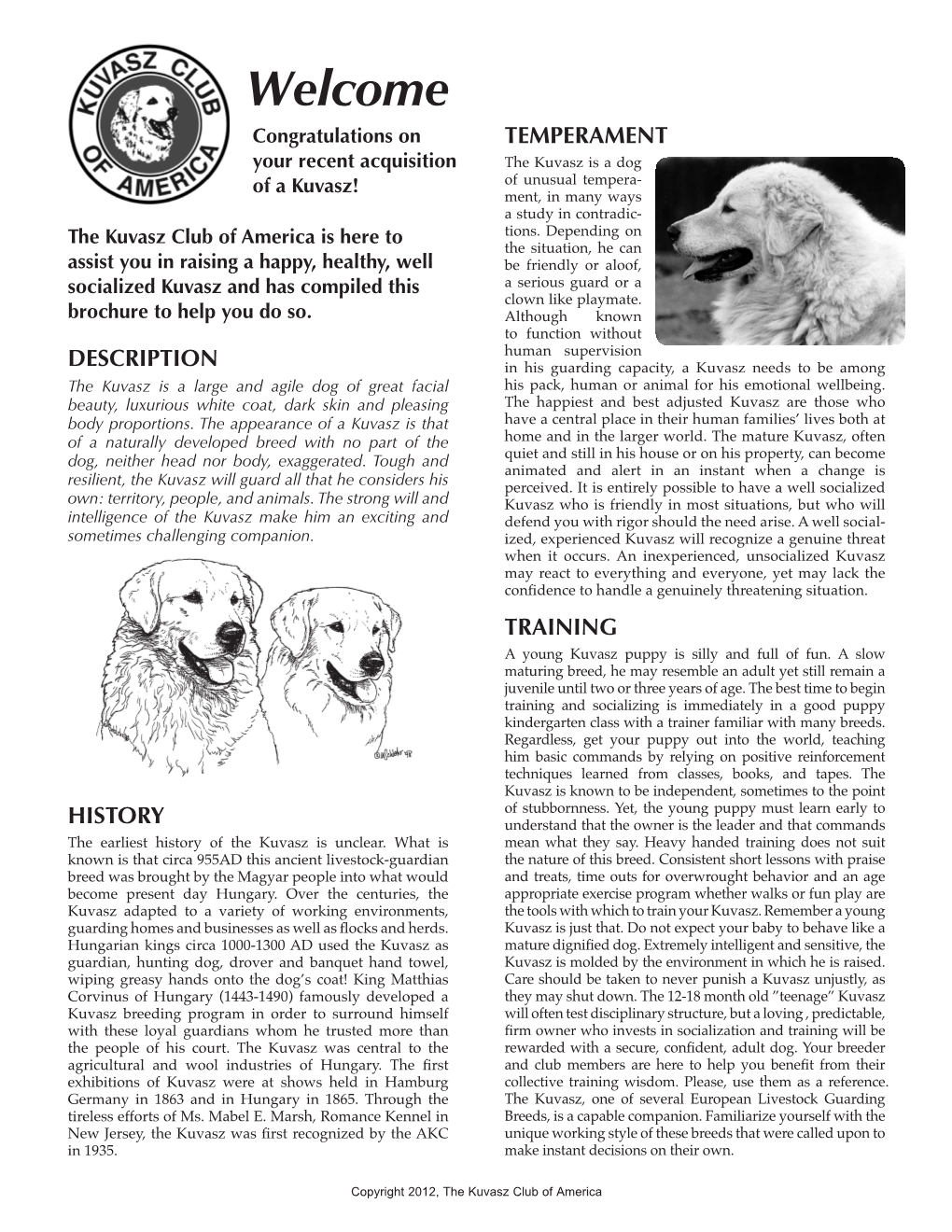 Kuvasz Club Flyer