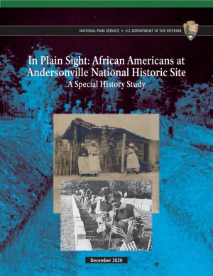 In Plain Sight: African Americans at Andersonville National Historic Site a Special History Study