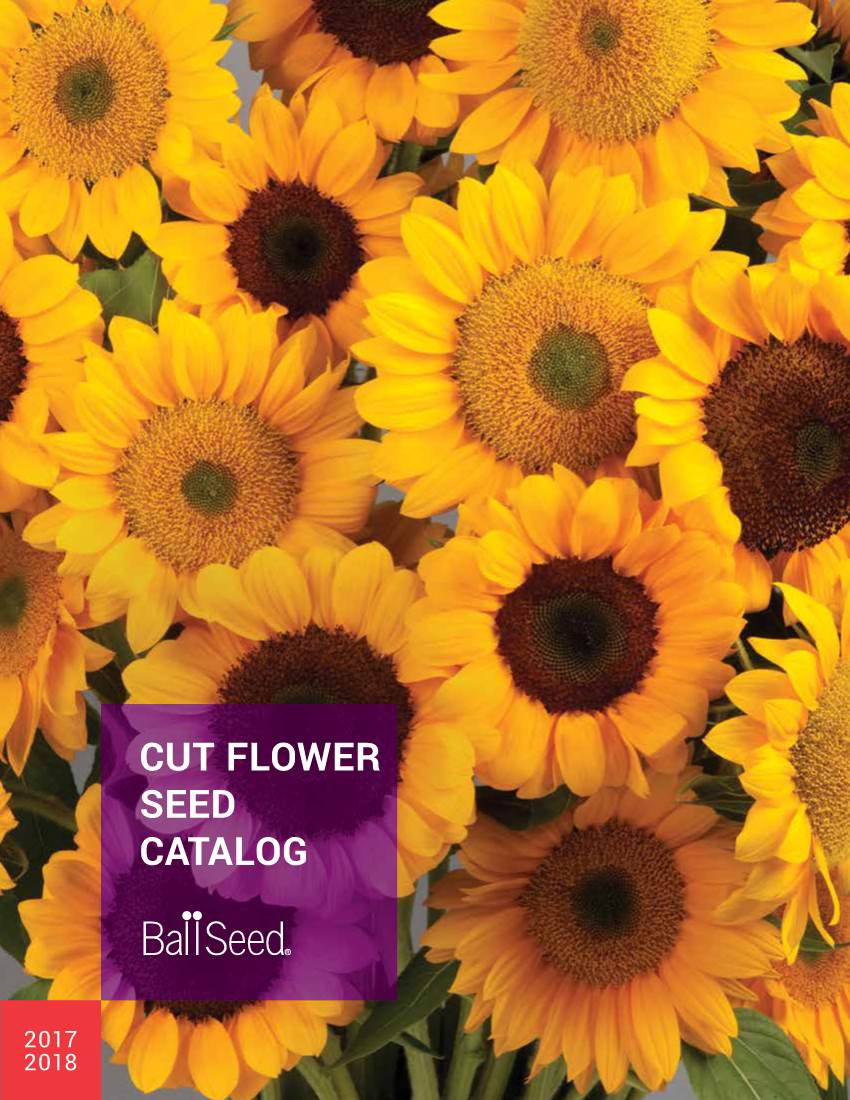 Cut Flower Seed Catalog