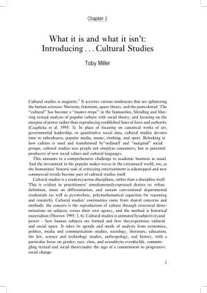 What It Is and What It Isn't: Introducing . . . Cultural Studies